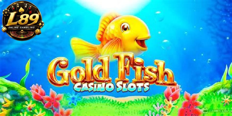 Betting-Strategy-in-Tropical-Fish-at-L89