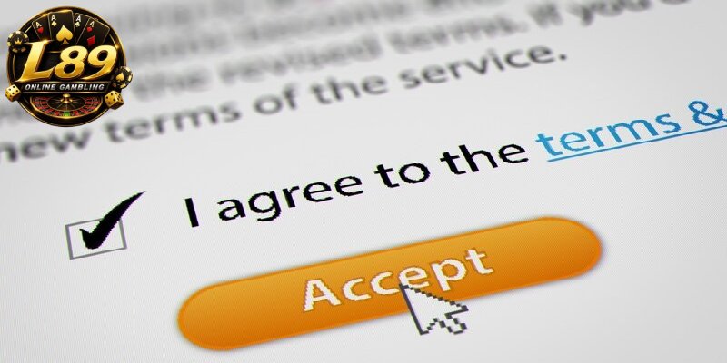 L89-Terms-and-Conditions-Governing-Website-and-Services-Usage
