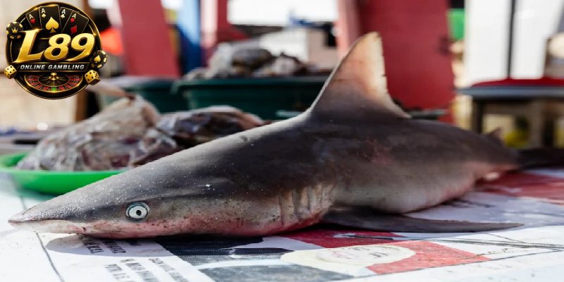 Shark-Species-and-Target-Values-in-Shark-Hunt-at-L89