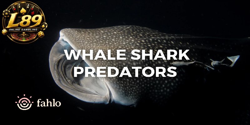 Target-Hierarchy-in-Whale-Hunter-at-L89